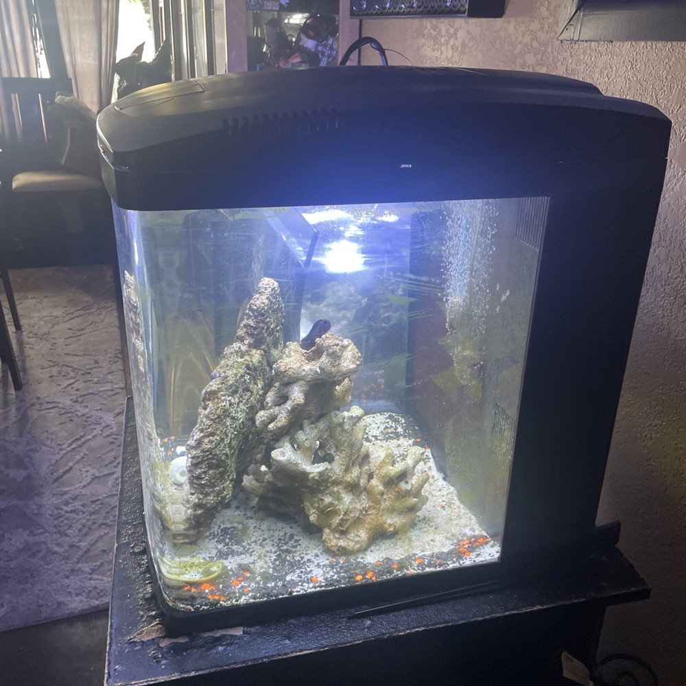 Complete Fish Aquarium