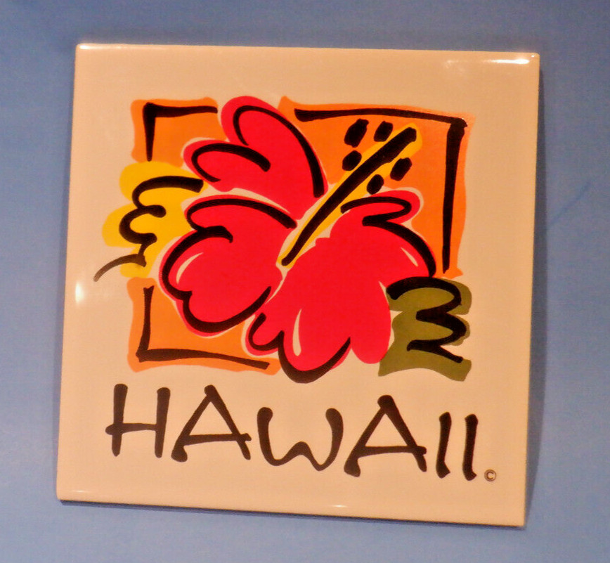 Hawaii Ceramic 6" Square Tile Trivet Cork Backing Kitchen Home Decor