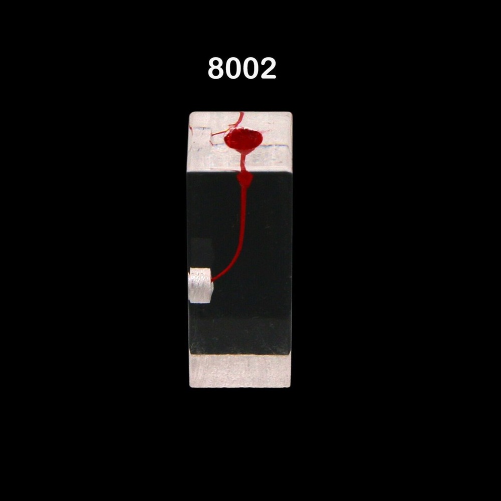Dental Endo Root Canal Teeth Model Study Practice Block RCT Pulp Cavity