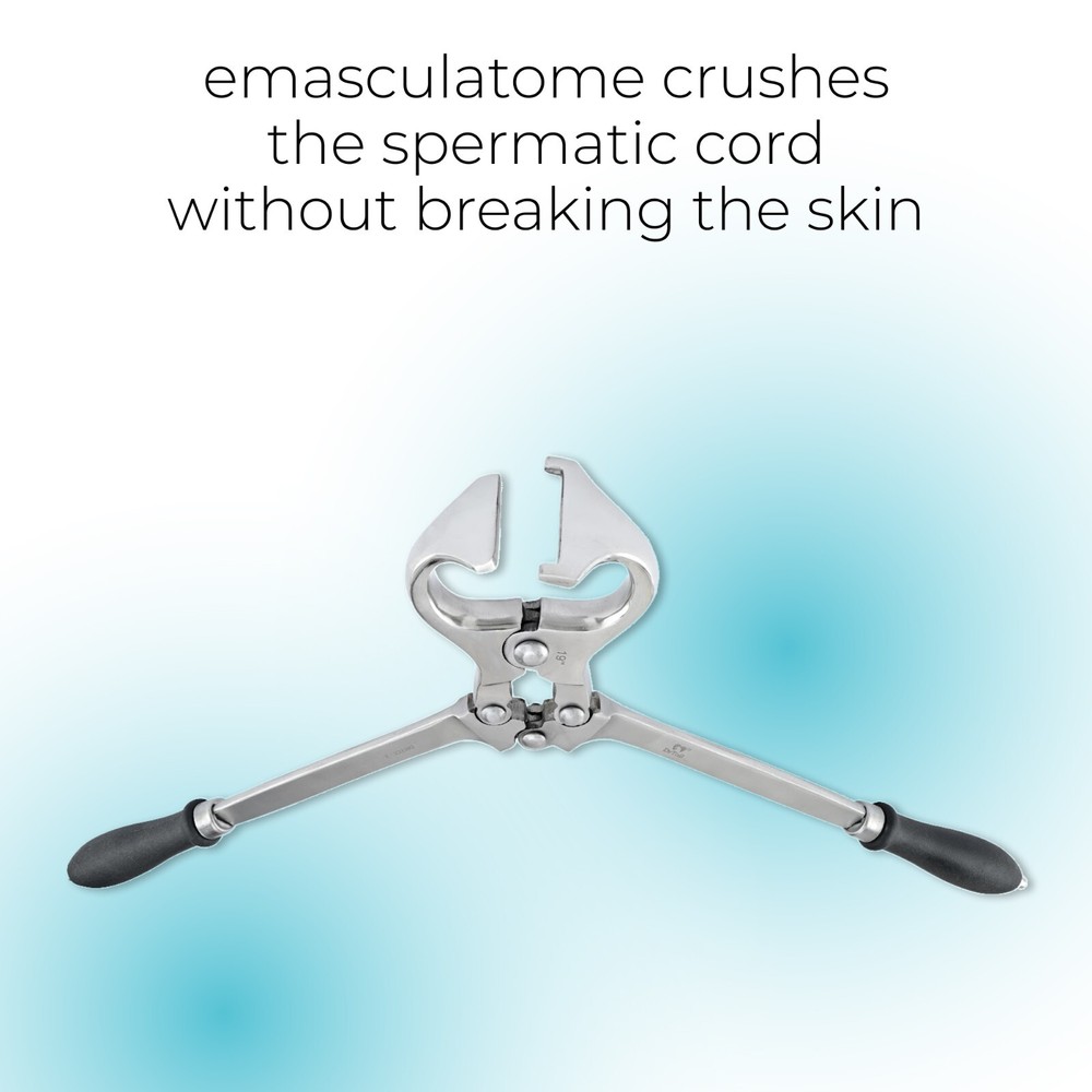 Castrator Burdizzo Castration Veterinary Instruments Large Size 19"