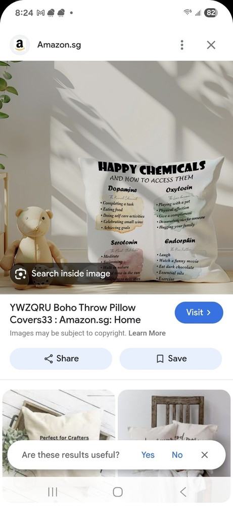 17.5”x17.5 square pillow case with Happy Chemicals How to Access Them