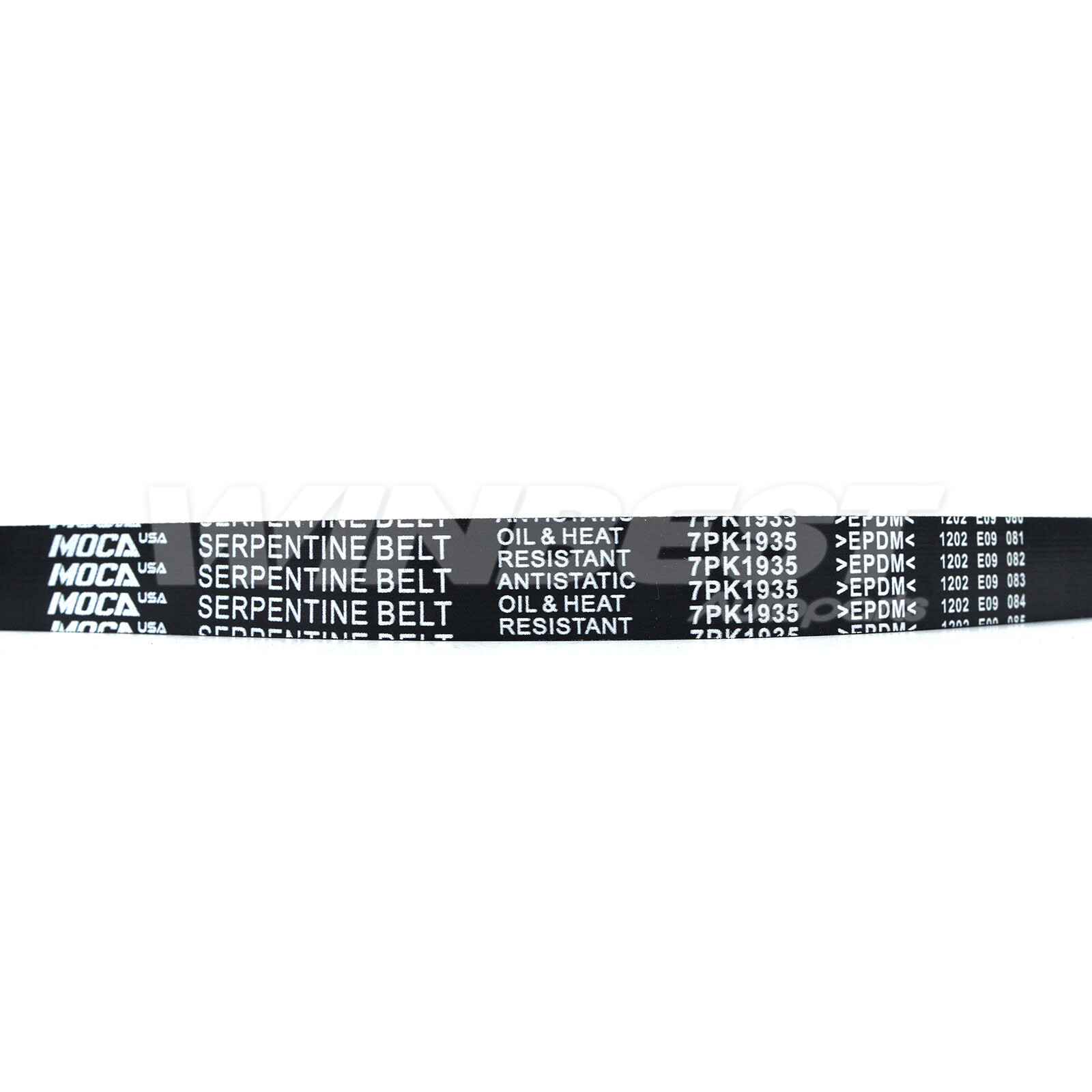 Serpentine Belt Drive Component Kit Fit Toyota Camry RAV4 Solara Scion tC 2.4L