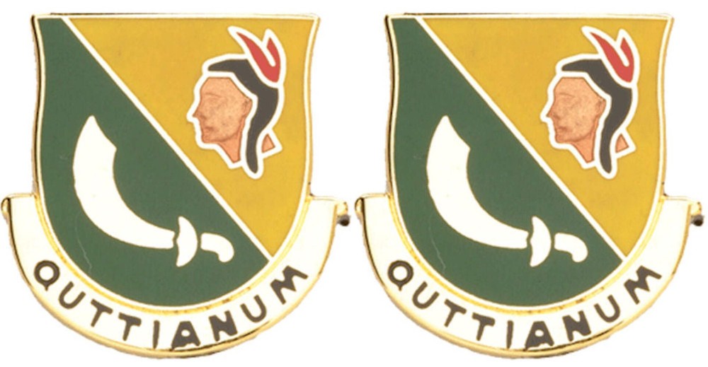 306 MP BN Distinctive Unit Insignia - Pair