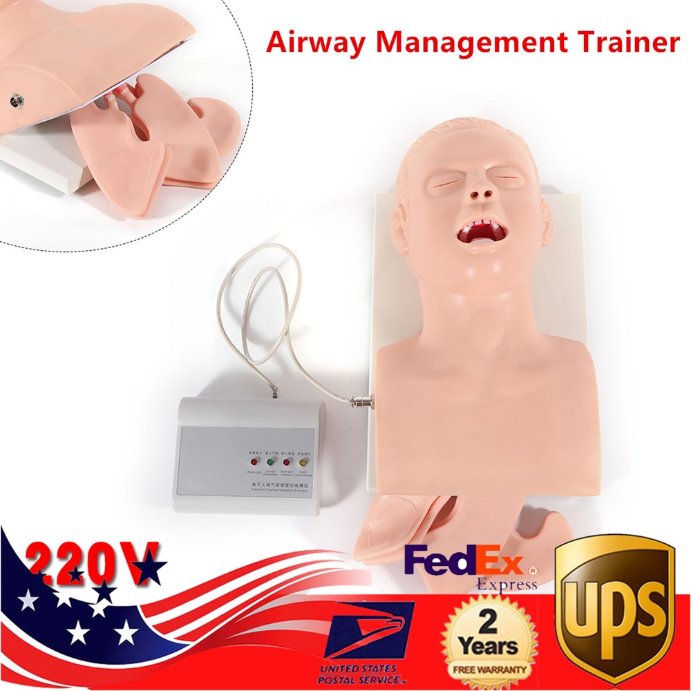 Intubation Manikin Study Teaching Simulator Airway Management Trainer Tool Model