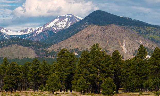 Model Railroad Backdrop Flagstaff by TrainJunkies