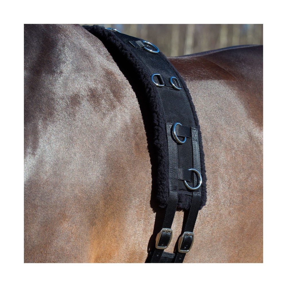 HORZE Training Surcingle Black Horse