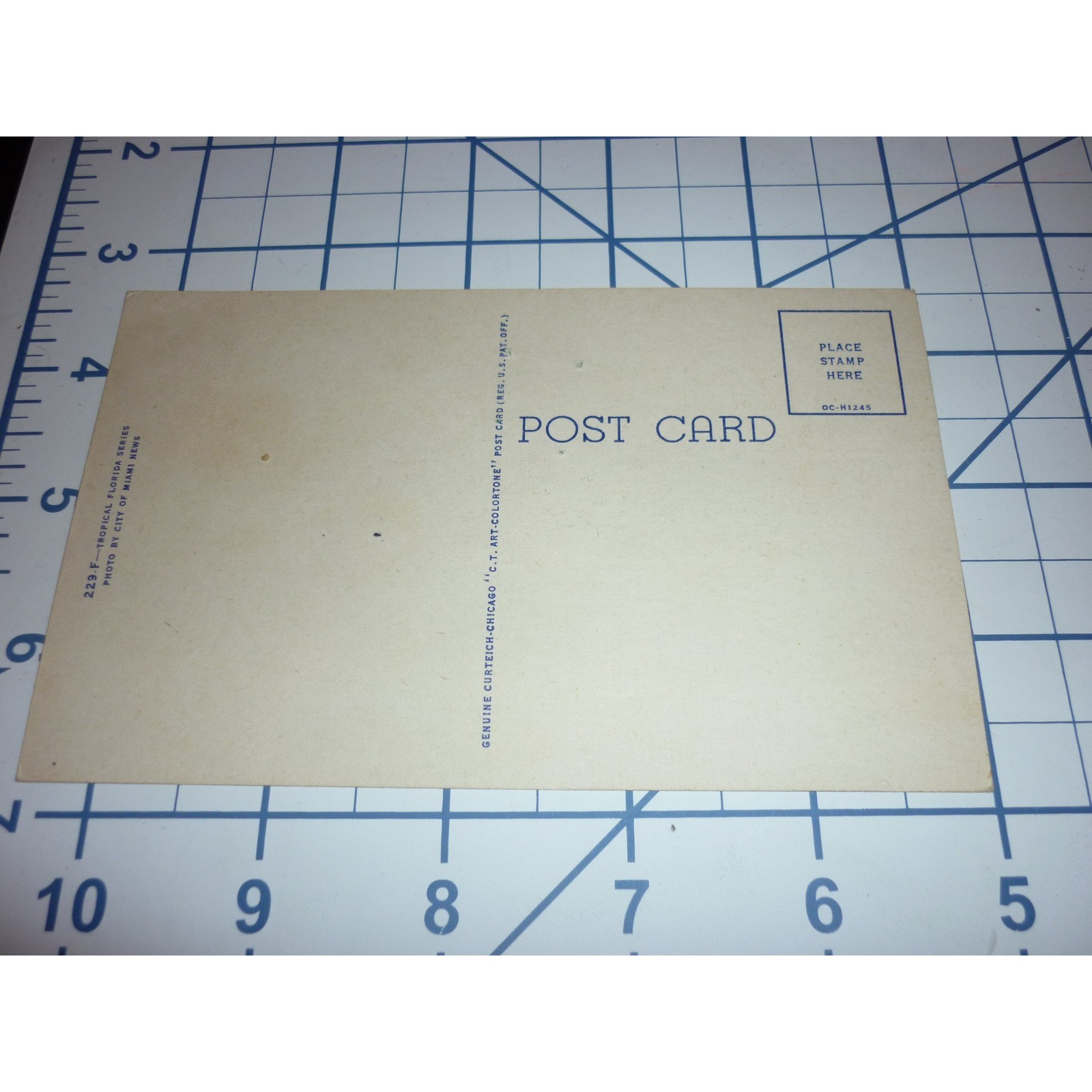 Vintage Greyhound Racing Florida Linen Postcard They're Off Curt Teich 229 F