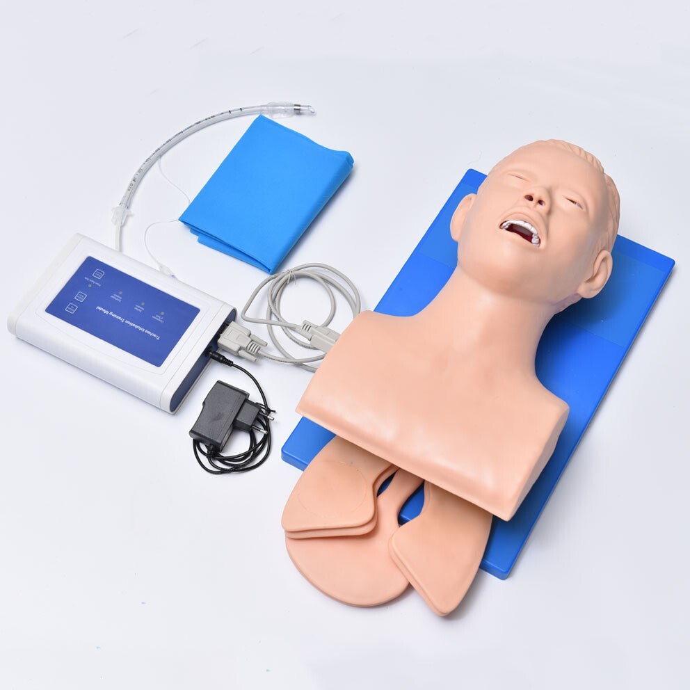 110V-220V Universal Tracheal Intubation Training Teaching Model with Indicator