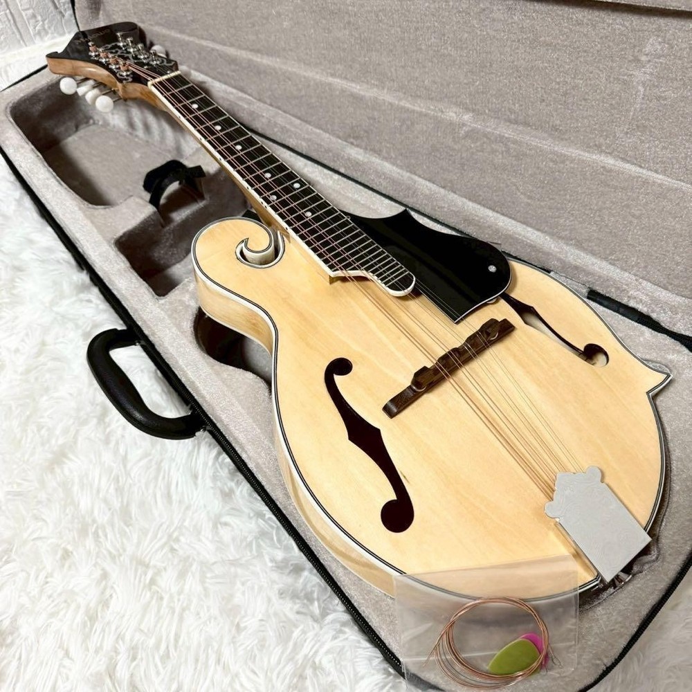 [Rare item] MYLOWE flat mandolin with hard case