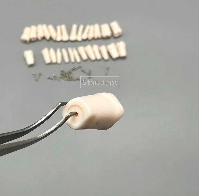 Dental Study Teeth Models Technician Practice Preparation Removable Tooth Nissin