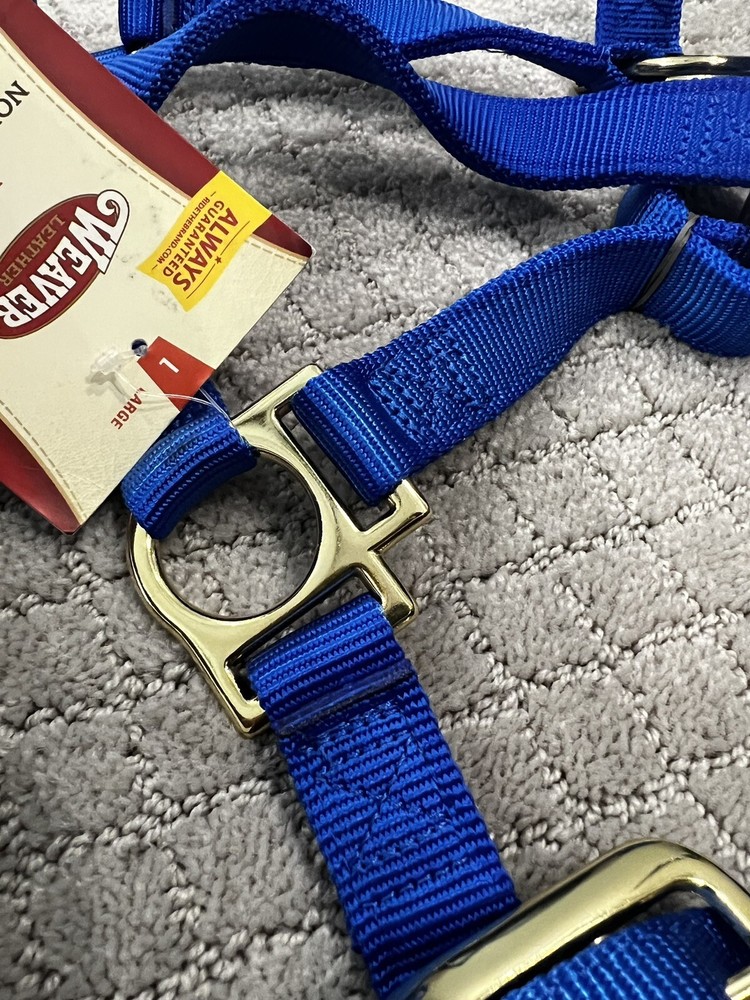 Weaver Leather Blue Basic Non-Adjustable Nylon Horse Halter, 1" Size: Large New!