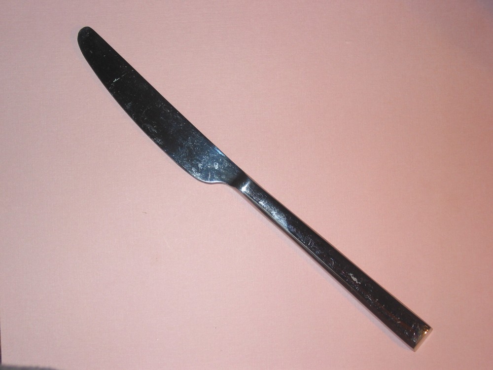 FOOD NETWORK ~ CHIVE Pattern ~ Dinner Knife ~ Stainless ~ Glossy