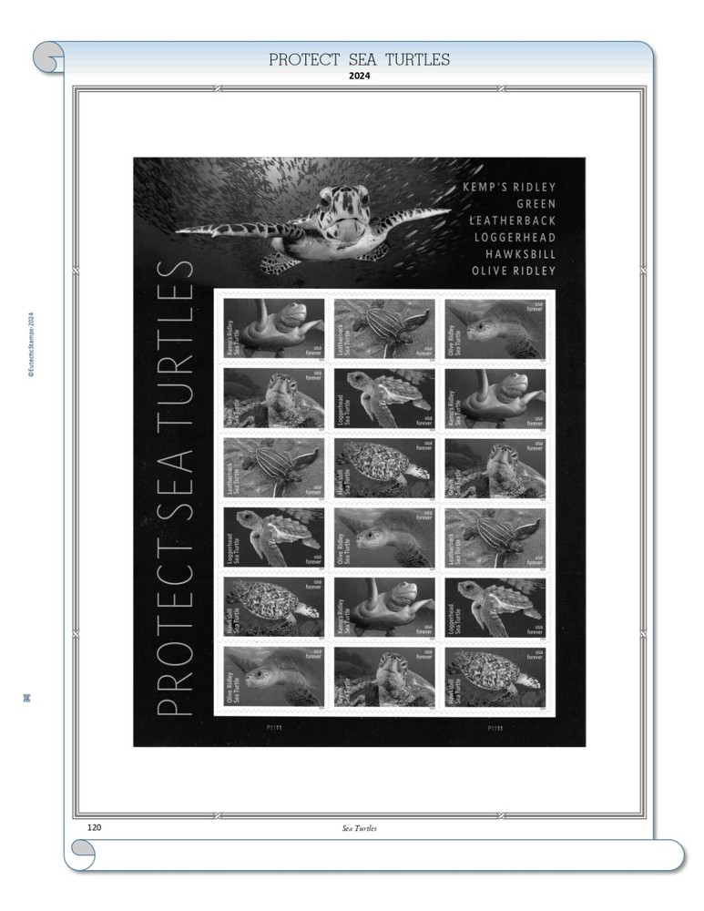 2024 U.S. Commemorative Singles COMPLETE Supplement (White Ace Alternative)