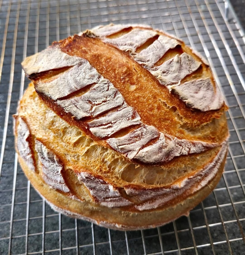 Sourdough Starter " Black Death "
