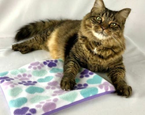 Handmade Catnip Playmat ~ Small