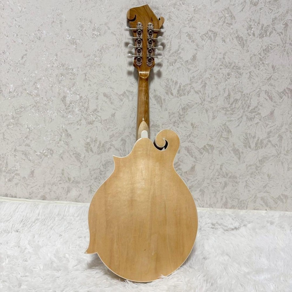[Rare item] MYLOWE flat mandolin with hard case