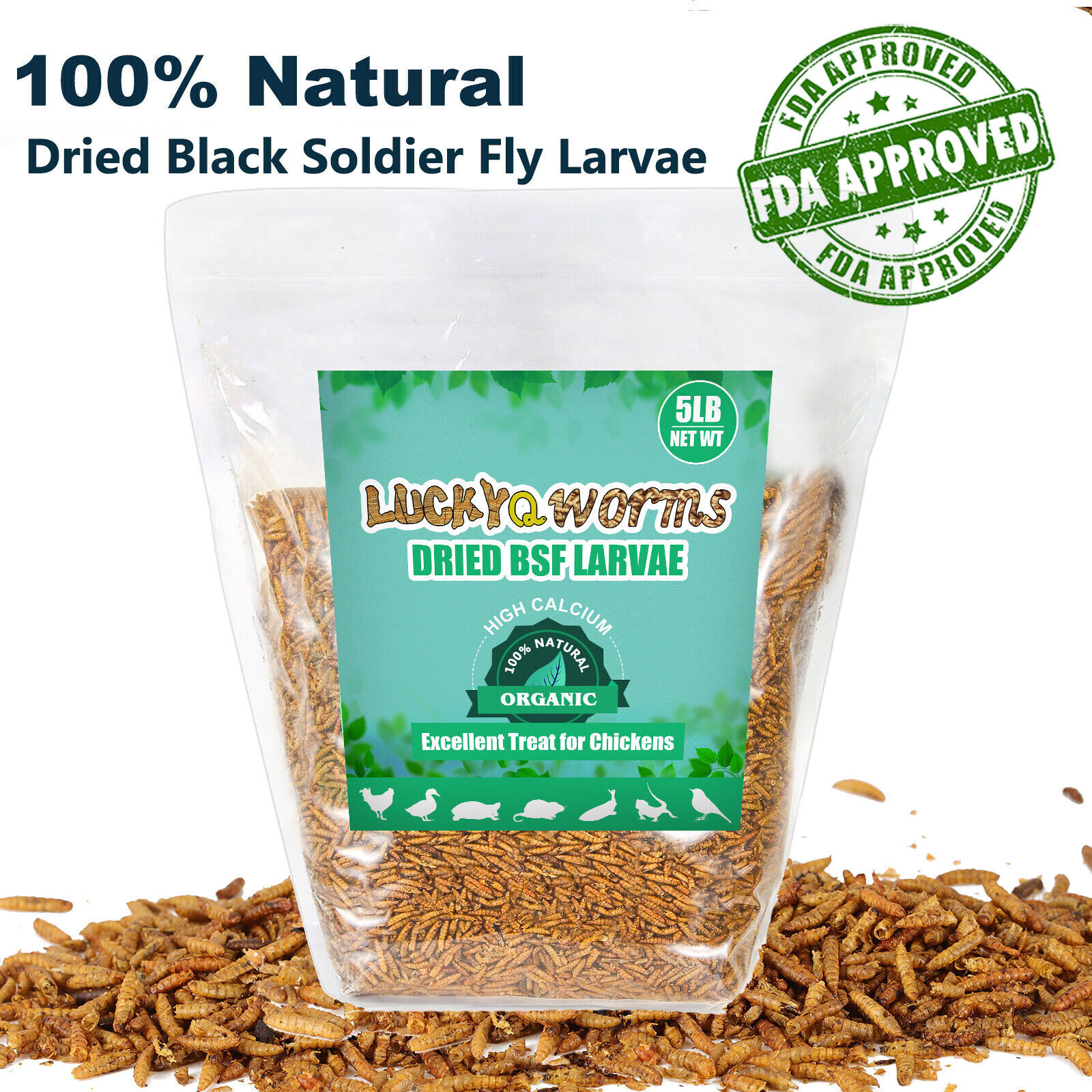 Bulk Dried Black Soldier Fly Larvae BSF Food for Chickens Wild Birds Turtles Lot
