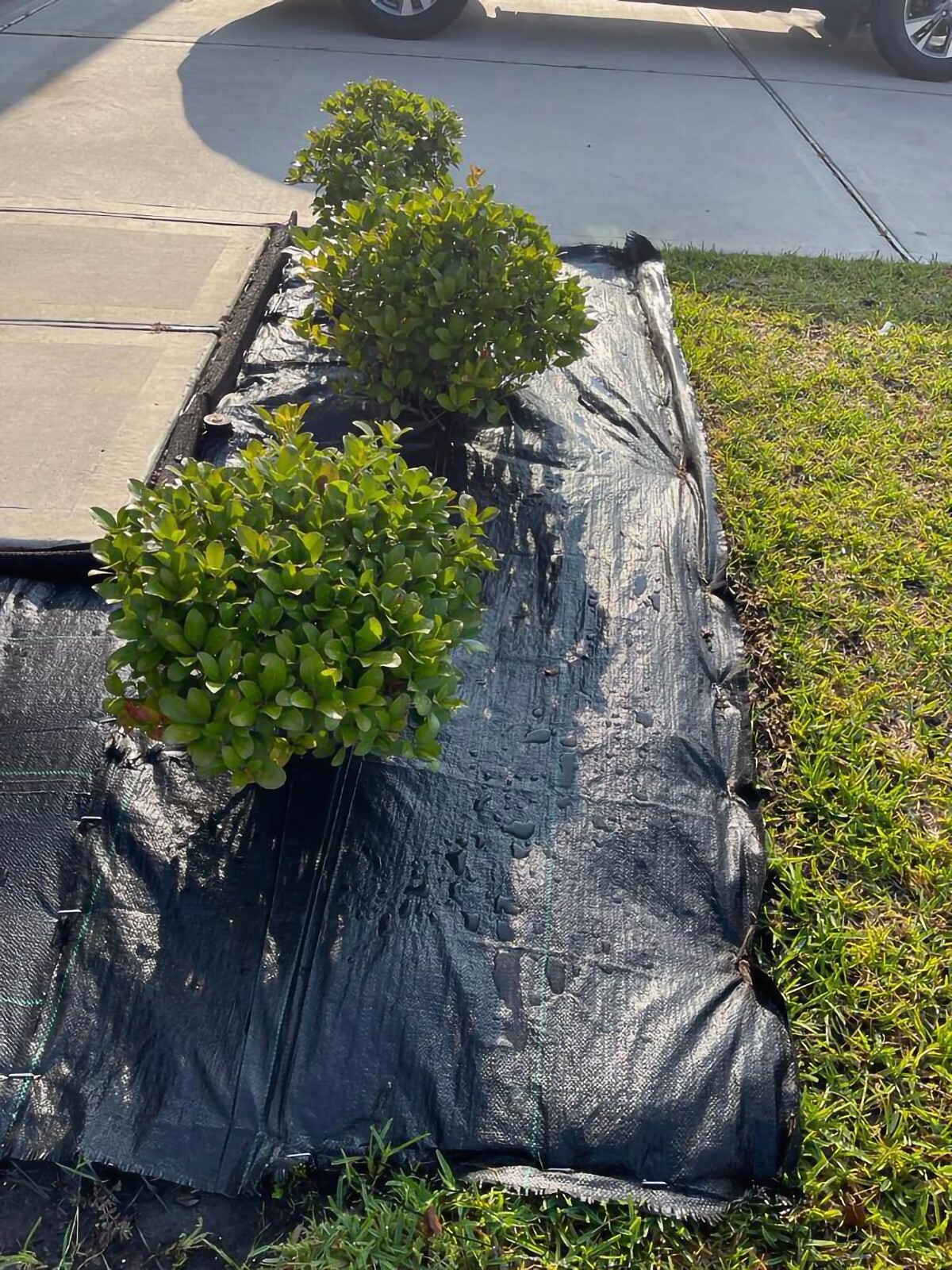 Heavy Duty Weed Barrier Fabric Landscape Fabric, Ground Cover, Land Fabric