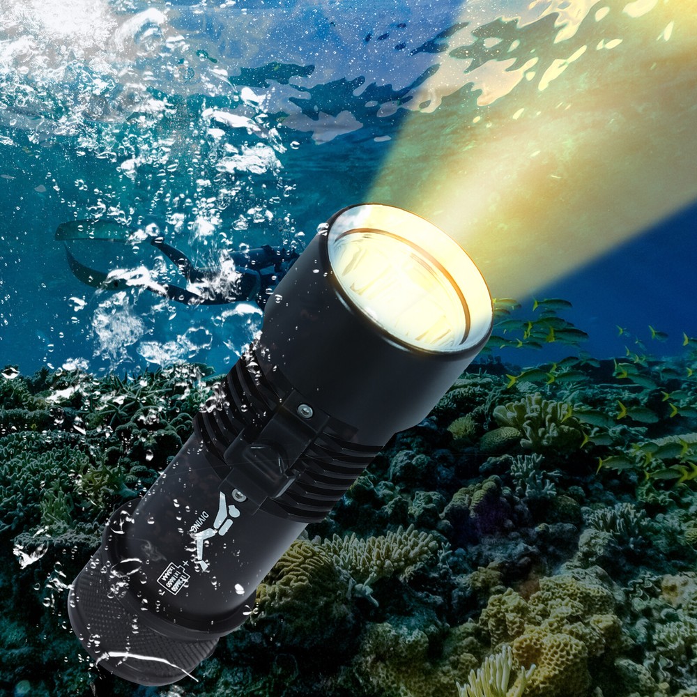 Submersible Flashlight, LED Dive Light, Waterproof Compact Bright Diving Torch