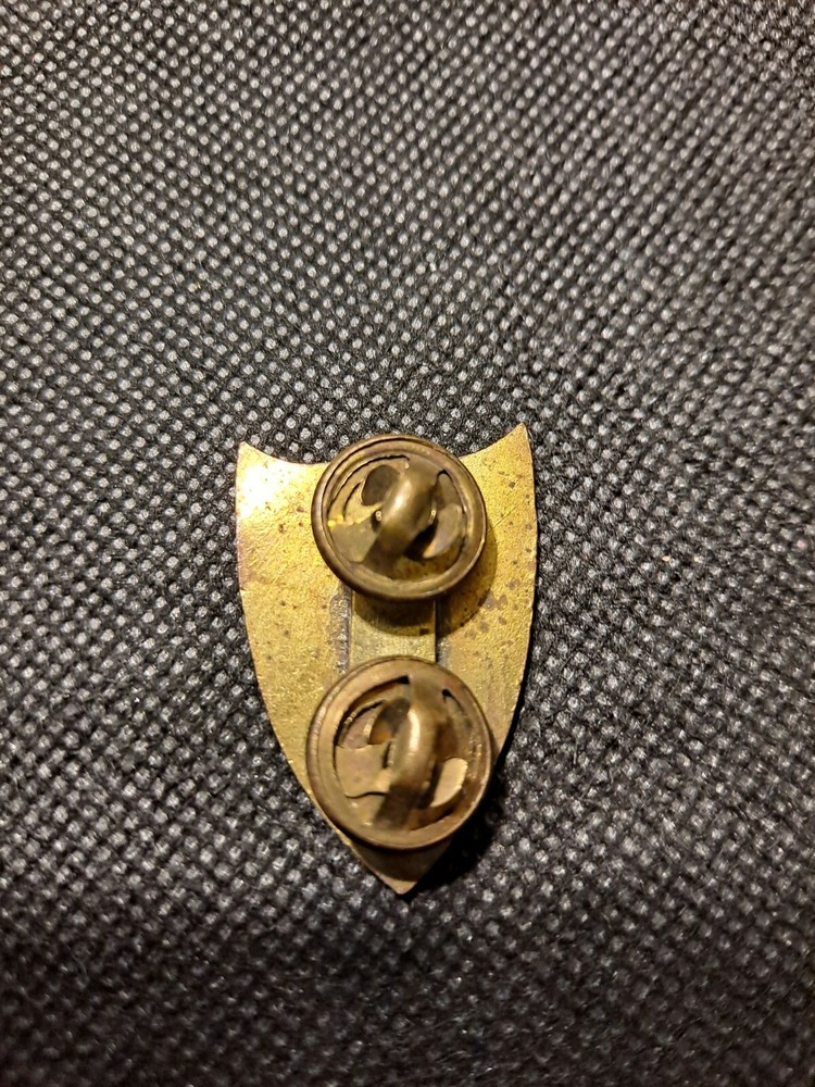 MILITARY SHIELD PIN! e4207DXX