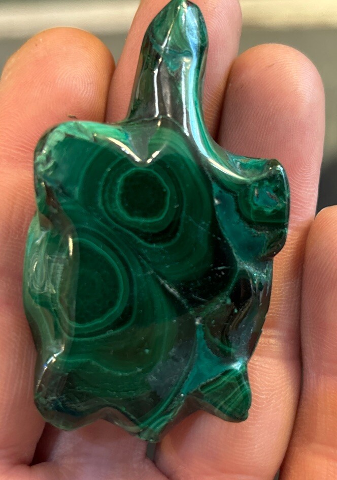 2” Malachite Turtle