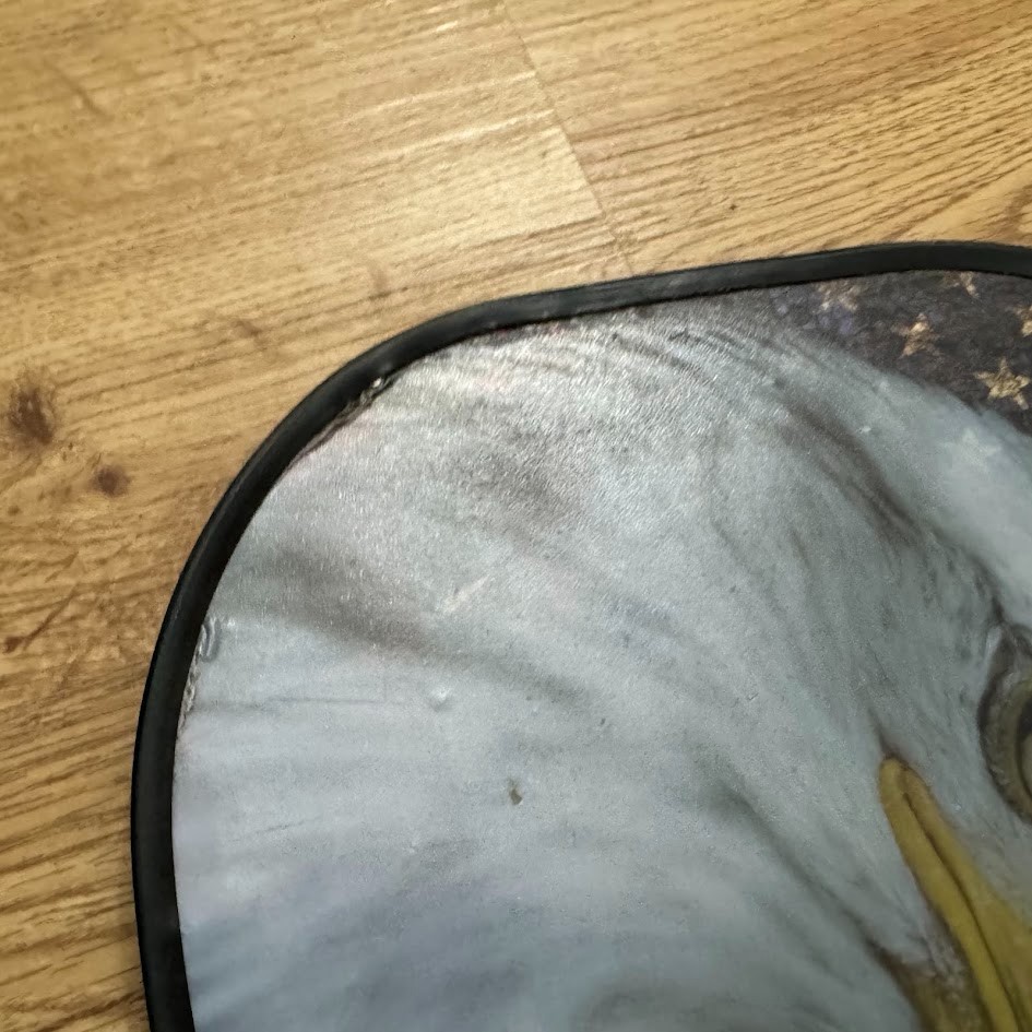 Third Shot Drop Pickleball Paddle Eagle USA Chaos