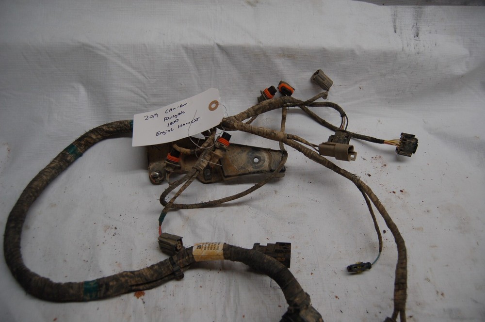 2019 Can-Am Renegade 1000 engine harness