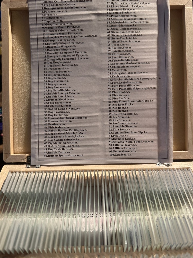 AmScope PS100B Prepared Biology Microscope Slides 100 Total Slides New