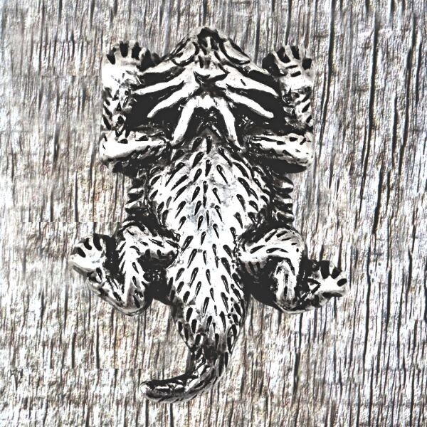 Texas Horned Lizard "Horned Toad" Concho CON961-AS