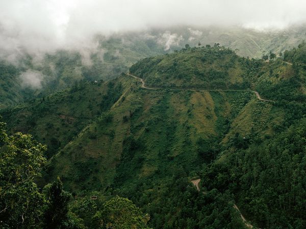 100% Hawaiian / Kona Coffee Beans Medium Roasted 12 Pounds 1 Pound Bags