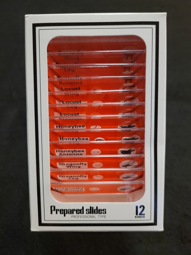 STEM Science 48pc Color-coded Prepared Plastic Microscope Slides w/ Butterfly