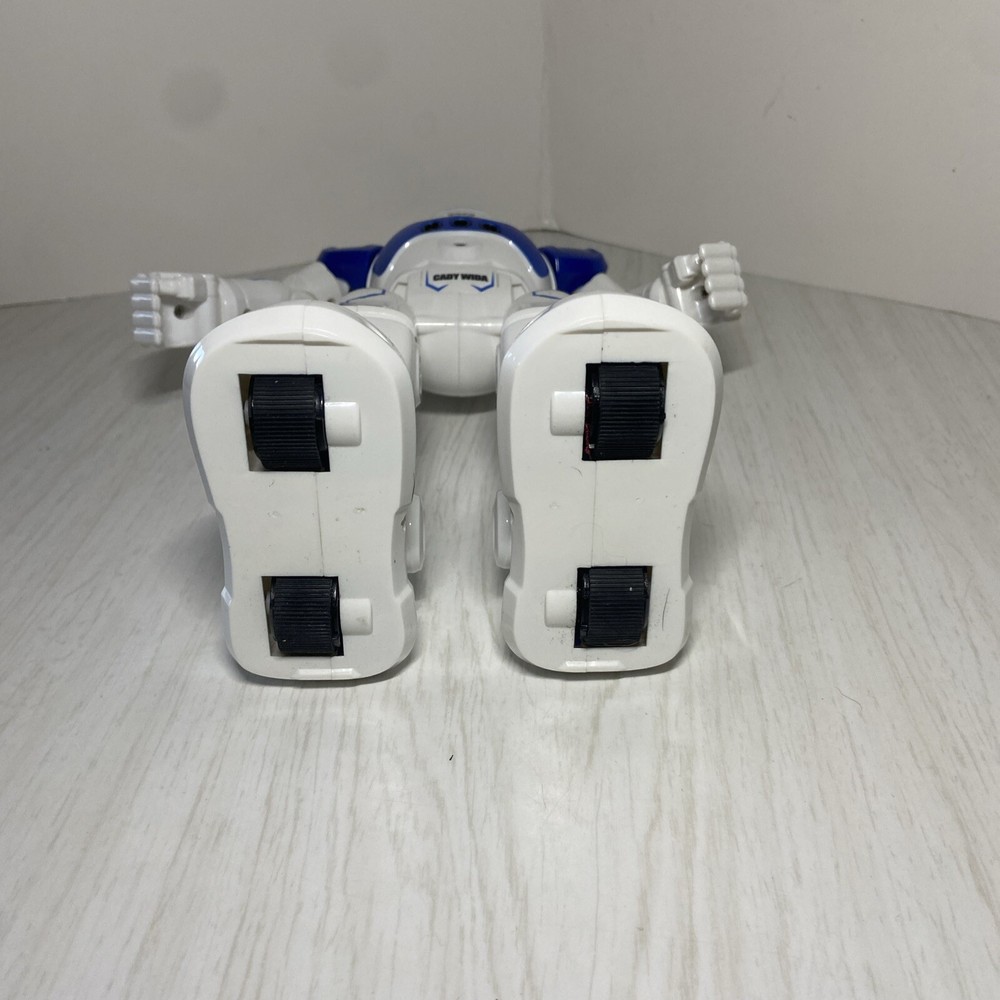 Cady Wida Robot Working No Remote Or Charger