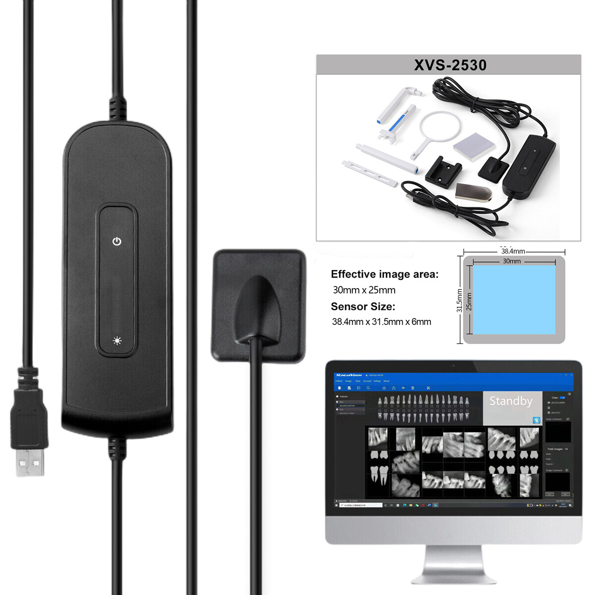 Sensor Dental RVG X-ray Sensor Digital Imaging System 1.5M Holder