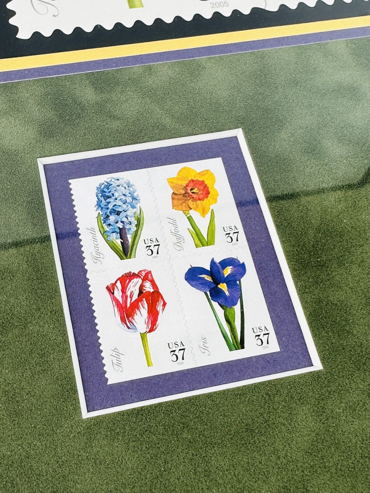 USPS Spring Flowers First Day of Issue Framed Stamps 2005 Lowell Herrero 15x21