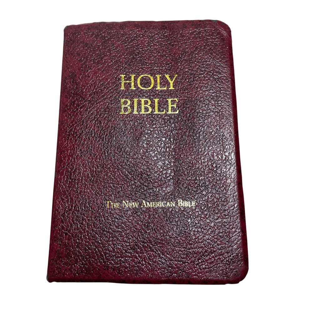 Bible Fireside Study Edition (some markings) Leather bound