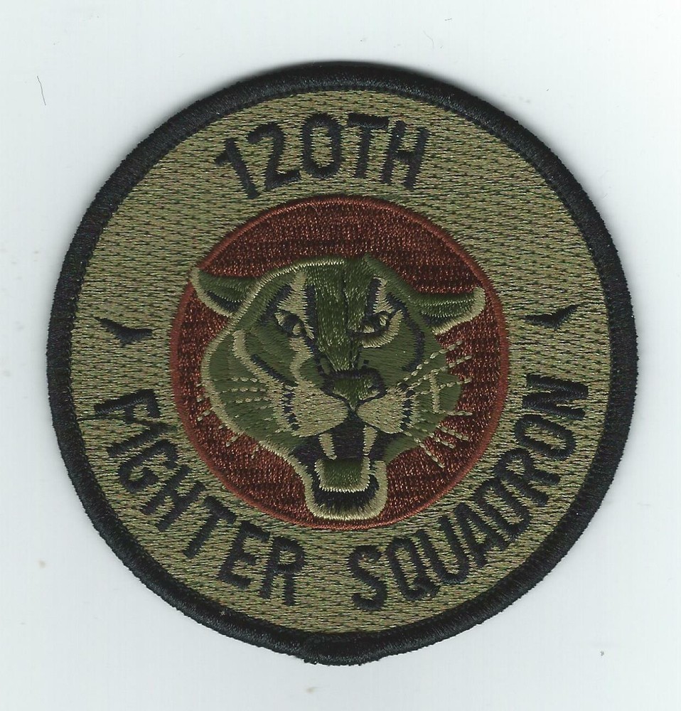 120th FIGHTER SQUADRON ocp patch