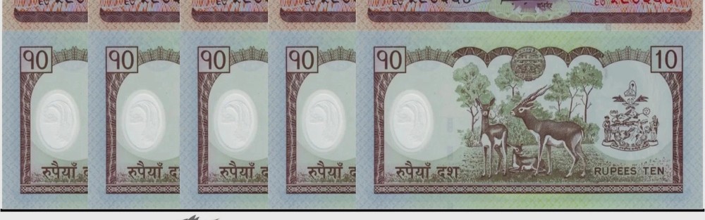 Nepal 10 RUPEES P-54 2005 x 50 Pc Lot Bundle Polymer UNC King DEER Nepalese NOTE