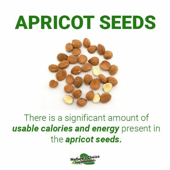 Bitter Apricot Kernels, 1 Pound, Natural B17 Source California Grown