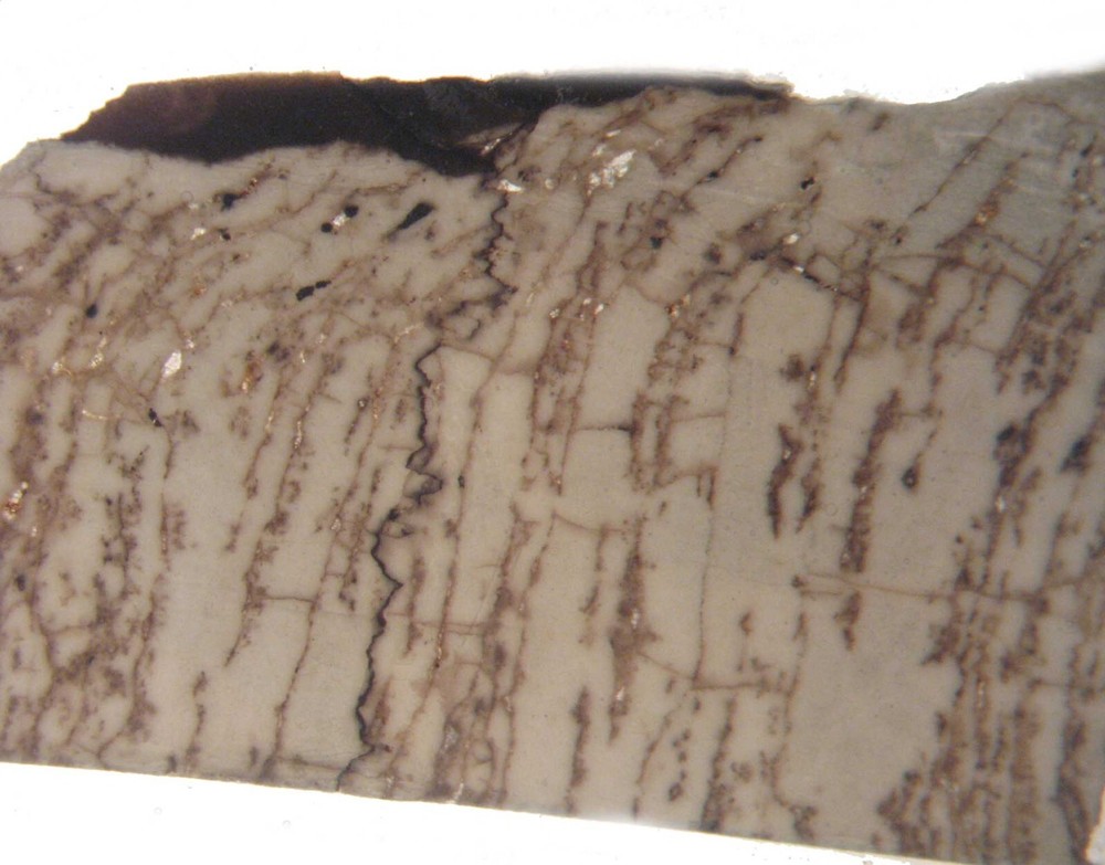Geological Rock Formation & fossil Thin Section collection 100 slides in case