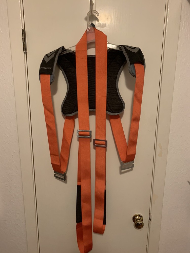 2 bageone moving straps