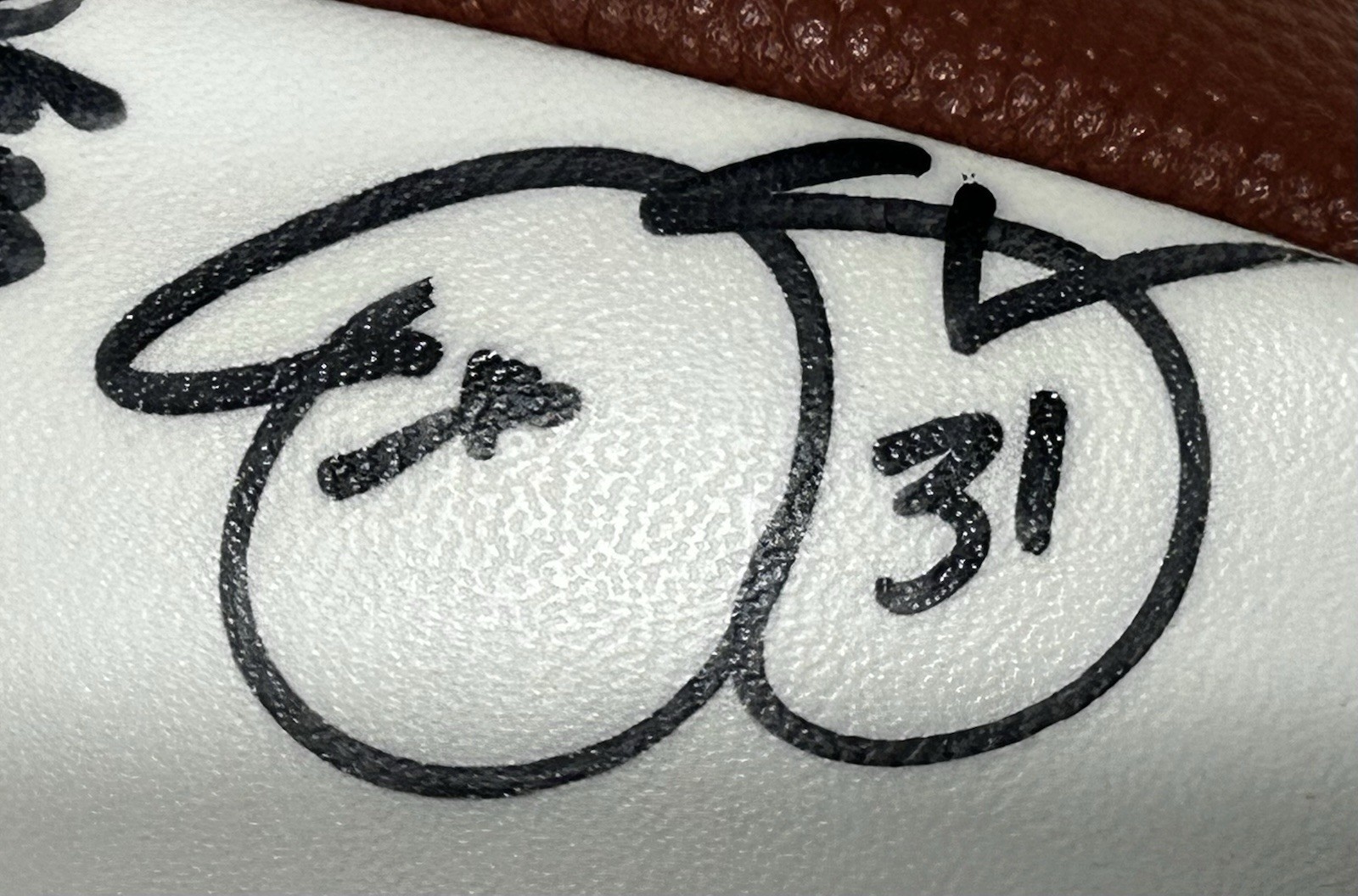 Authentic 1995 New York Giants Team Signed Football 25+ Autographs Walker Sehorn