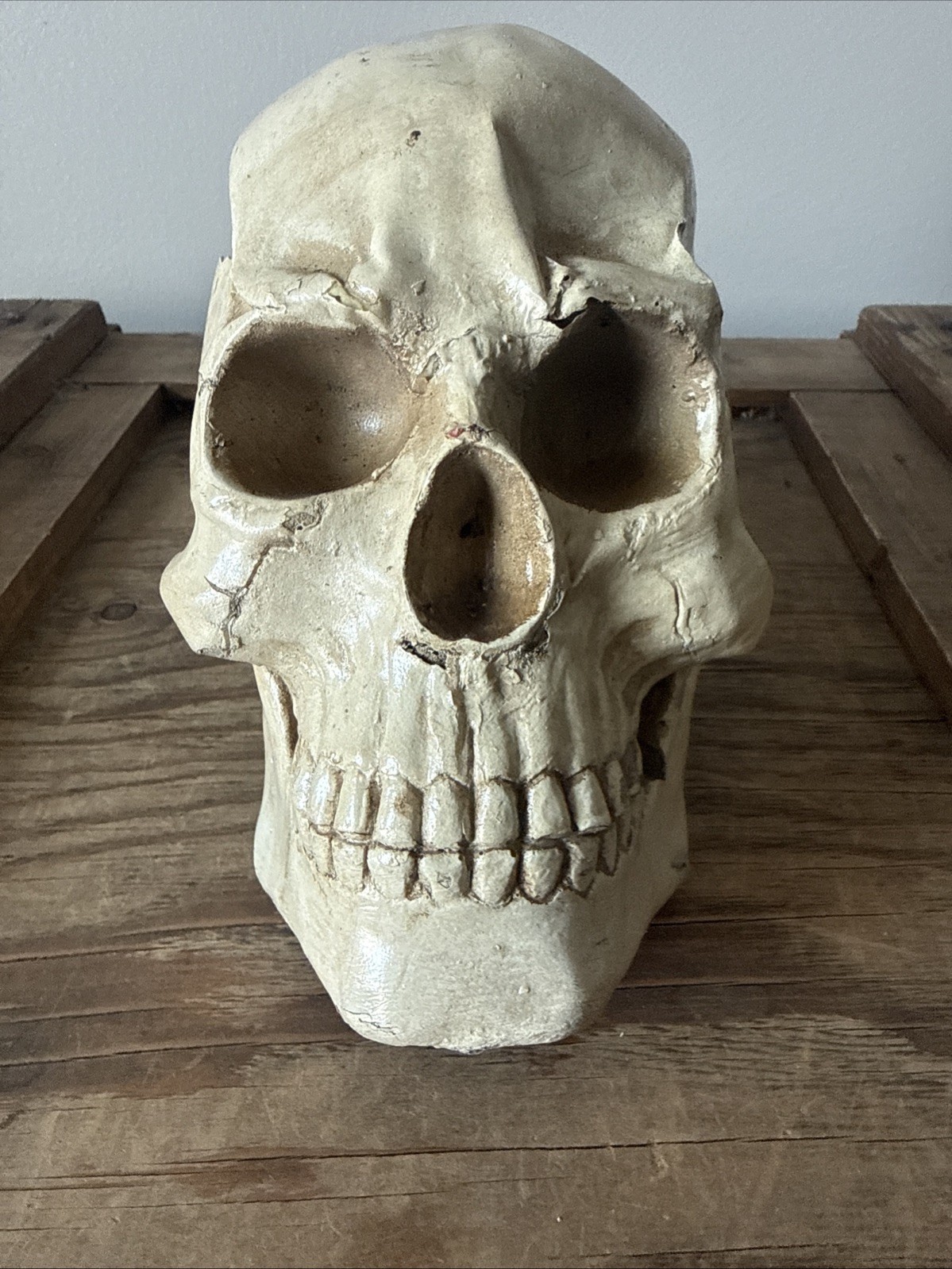 Vintage Fake Life Size Human Skull - skeleton anatomy oddity