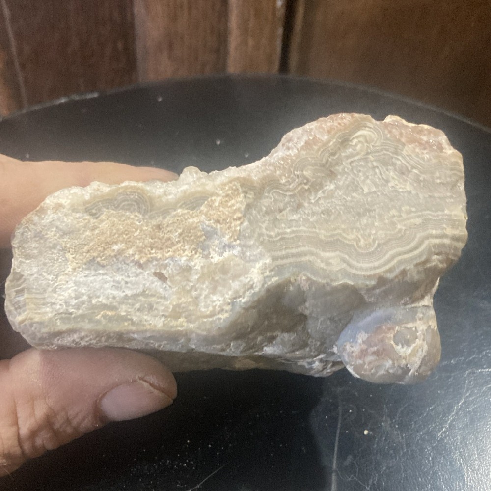 Rough Multicolored Agate Mineral Specimen for Cabbing