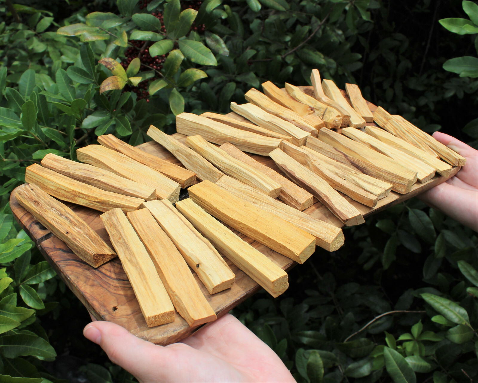 Bulk Wholesale Palo Santo Wood Sticks: CHOOSE AMOUNT oz or lb Smudging Cleansing