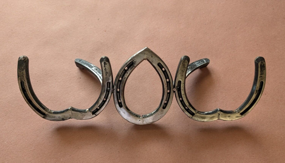 Horse Shoe "WOW" Art Work