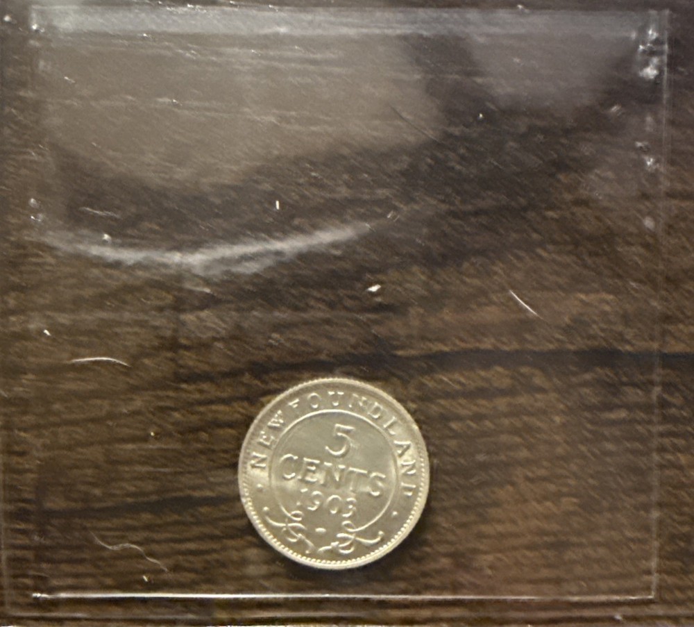1903 Newfoundland Five Cents 5C - ICCS MS64 C6