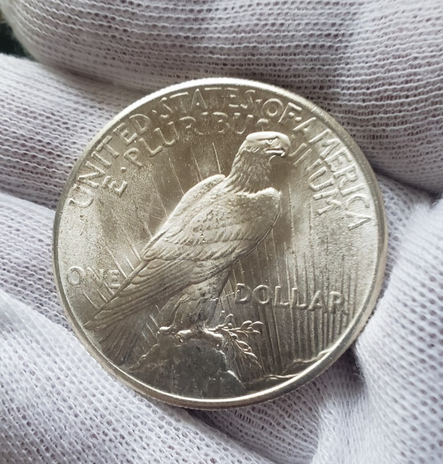 1925 P Peace Dollar BU