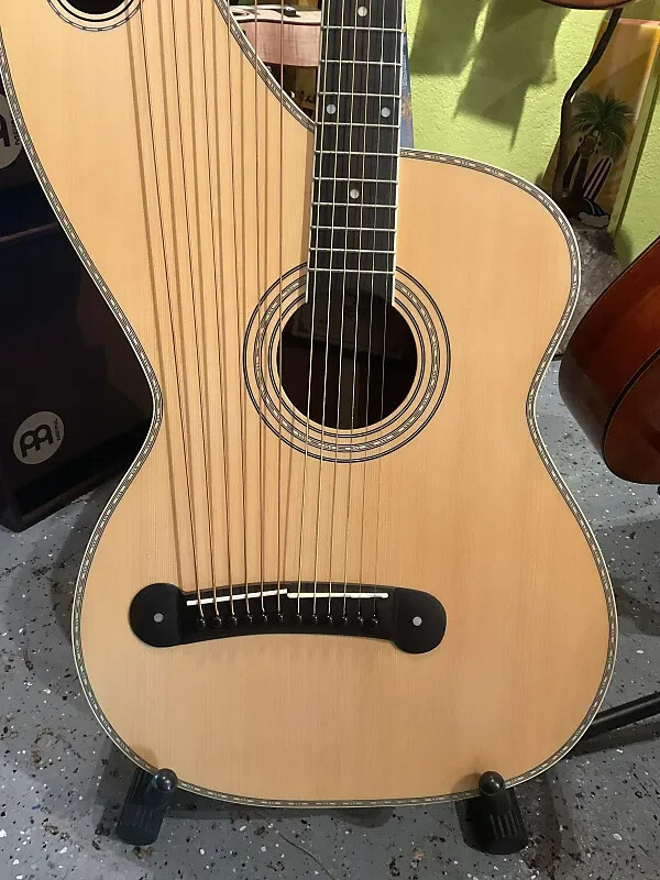 Holloway Harp Guitar with Hard Case