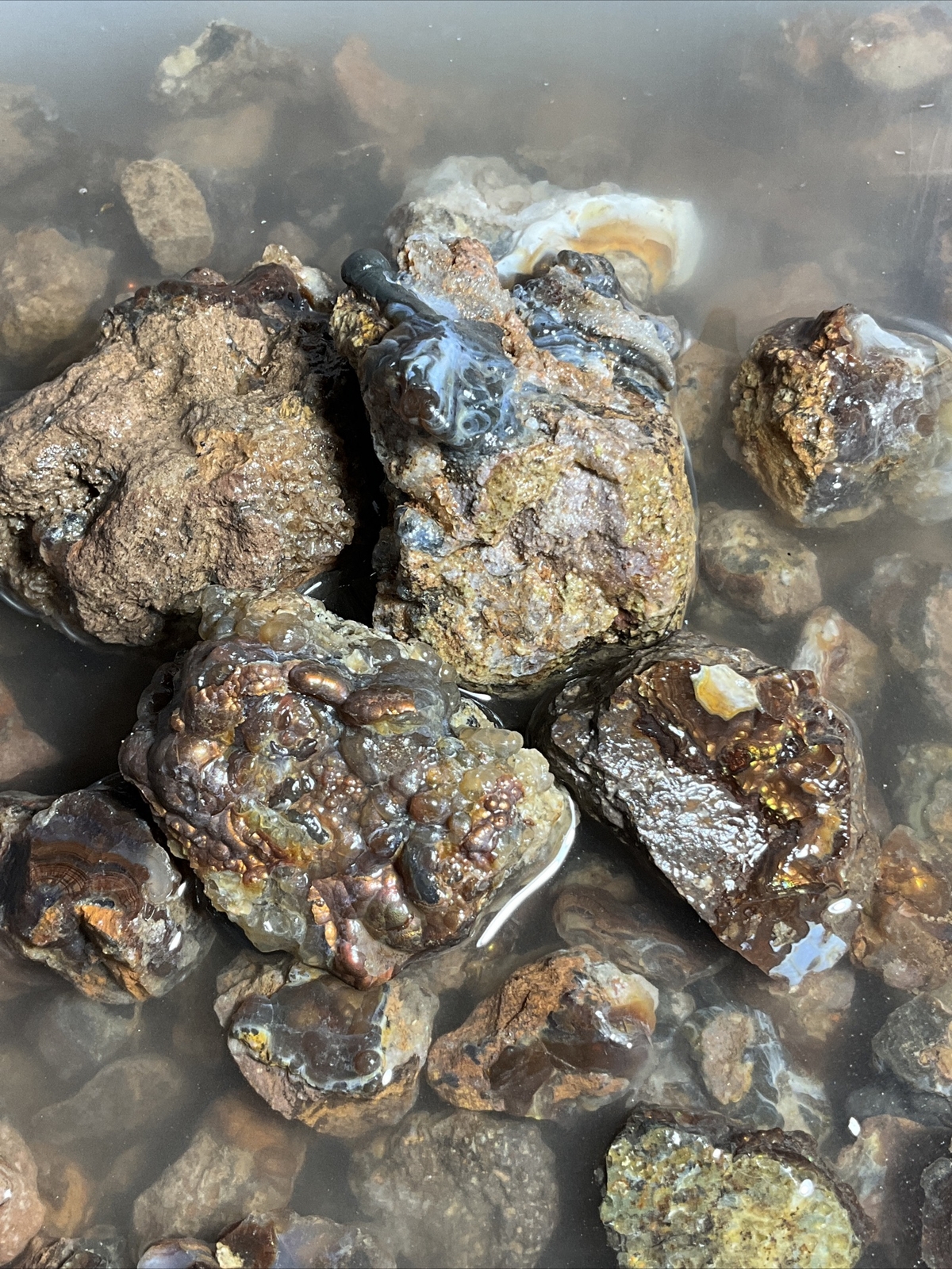 1/4 Pound Fire Agate Choice & Mid Grade Professionally Chosen Colorful Rough Lot