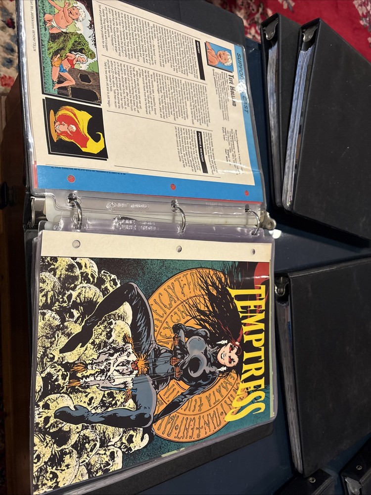 Comic Book Bio Binders
